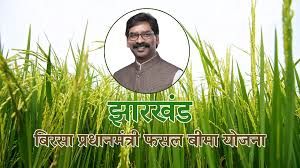 चक्रवाती बारिश से प्रभावित किसानों के लिए अलर्ट, 72 घंटे के भीतर करें बीमा दावा दाखिल: कृषि विभाग