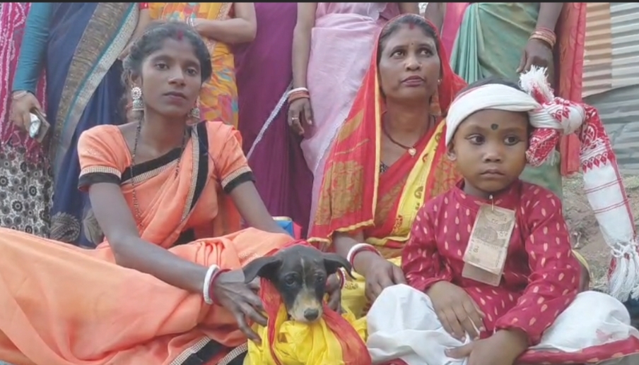 अंधविश्वास की हद: ग्रह दोष के नाम पर बच्चों की कुतिया से कराई गई शादी